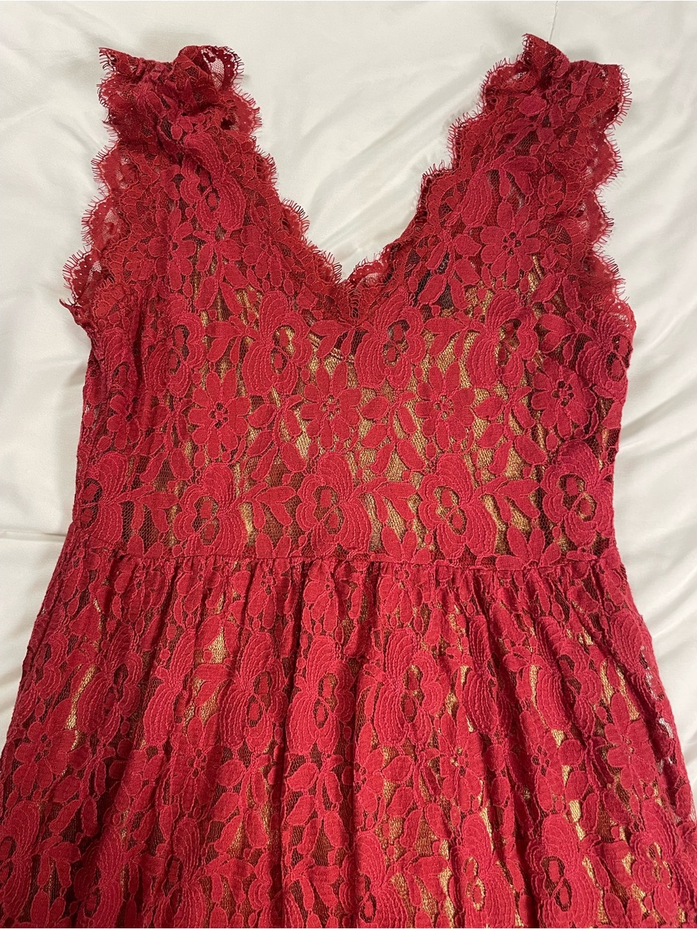 Greylyn Red Lace Fit & Flare Dress Gold Lining Romantic Cocktail Medium - Picture 4 of 10